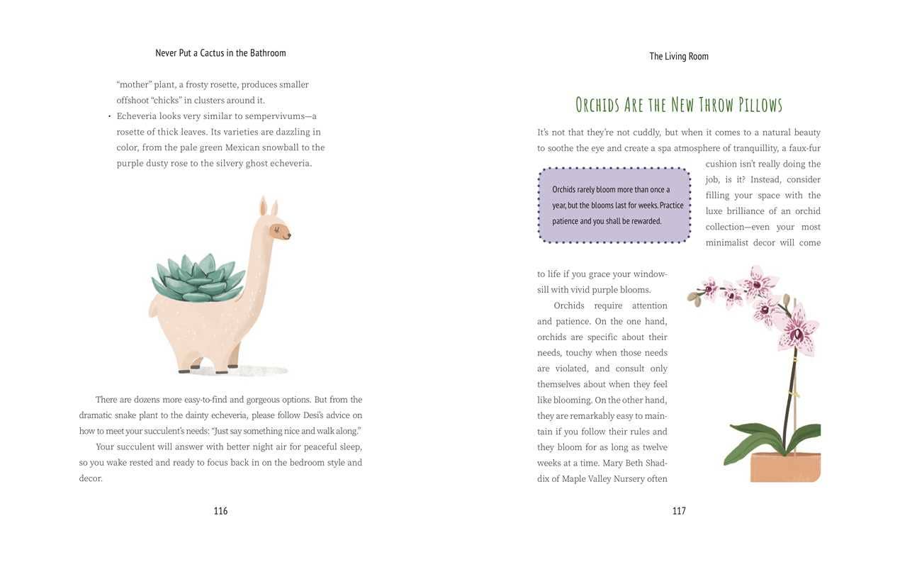 Never Put a Cactus in the Bathroom by Emily L. Hay Hinsdale: Hardcover; 208 pages / English
