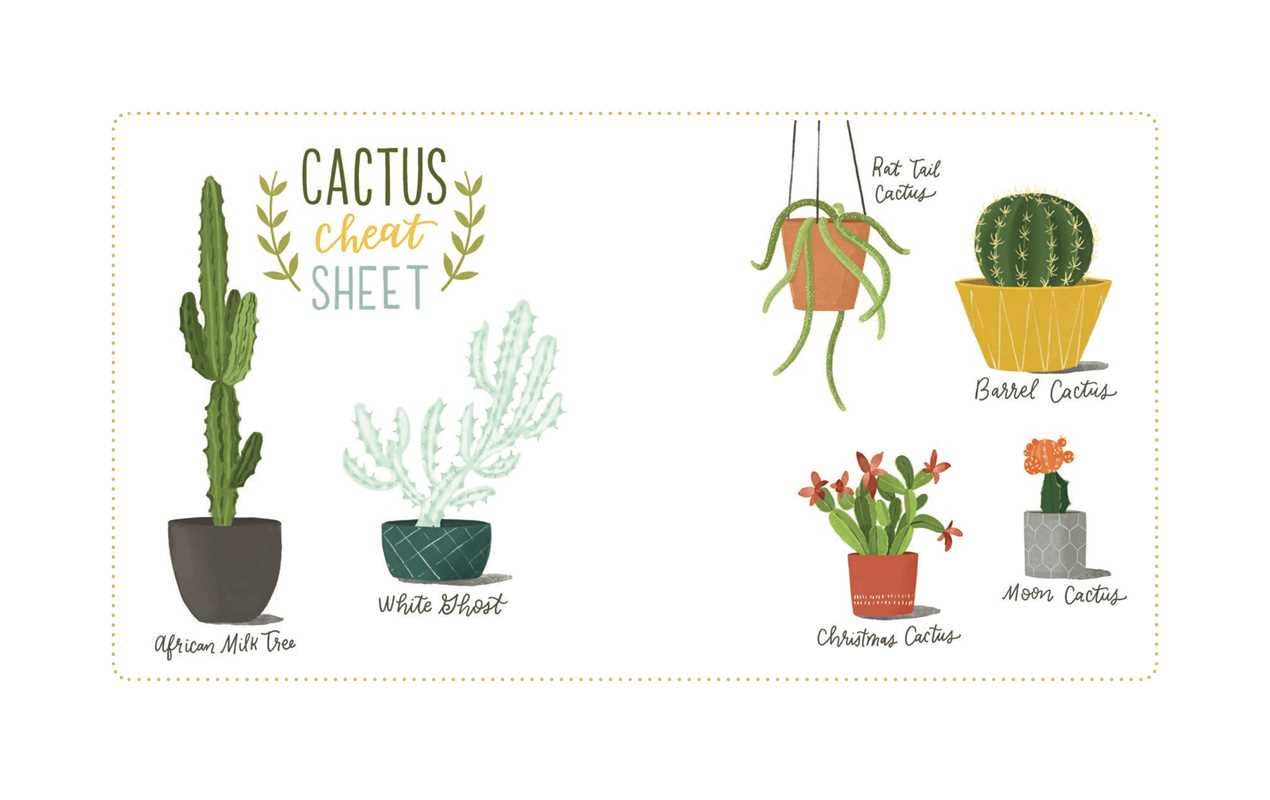 Never Put a Cactus in the Bathroom by Emily L. Hay Hinsdale: Hardcover; 208 pages / English