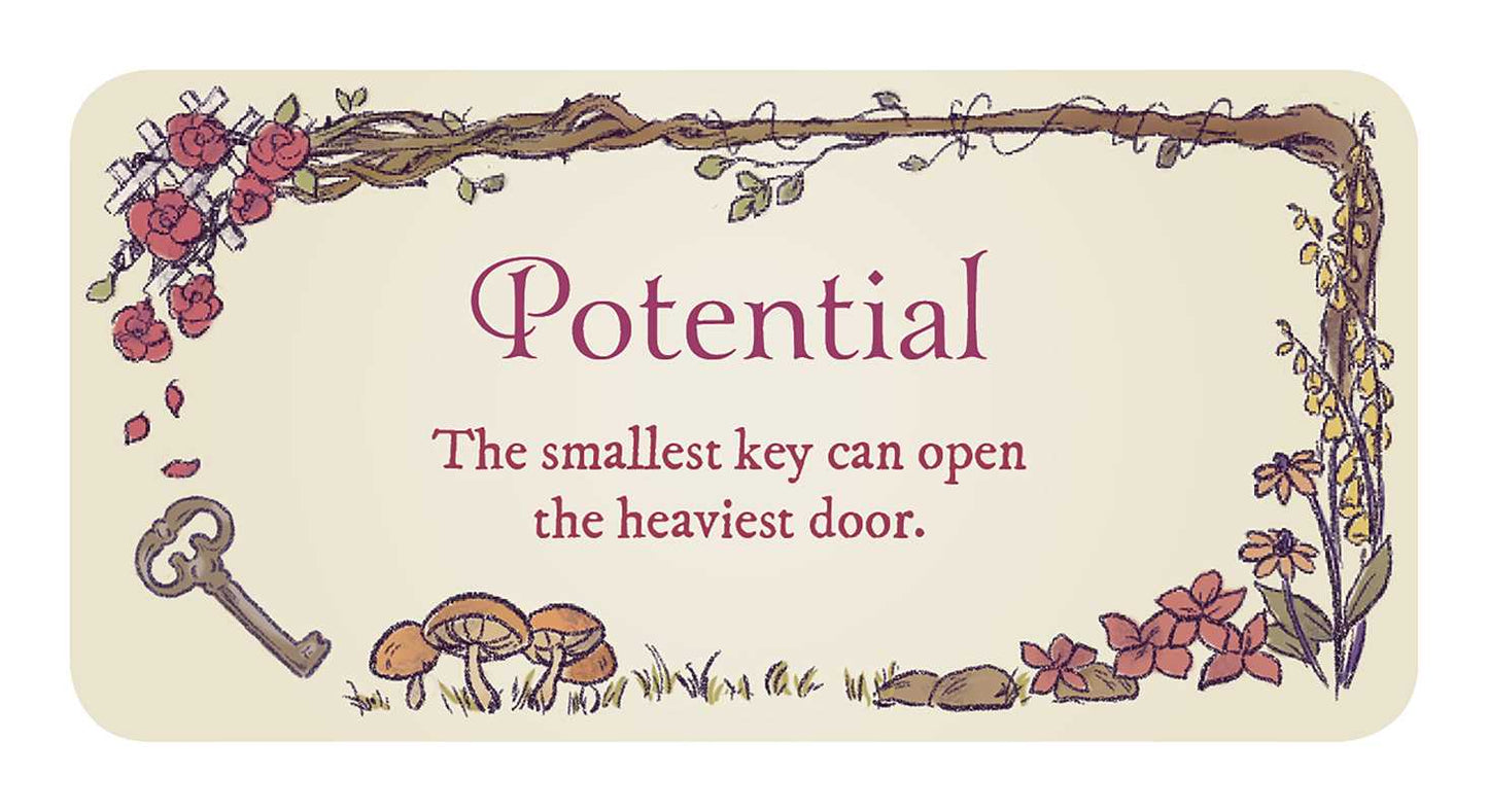 Secret Garden by Jessica Le: Flashcards; 40 pages / English