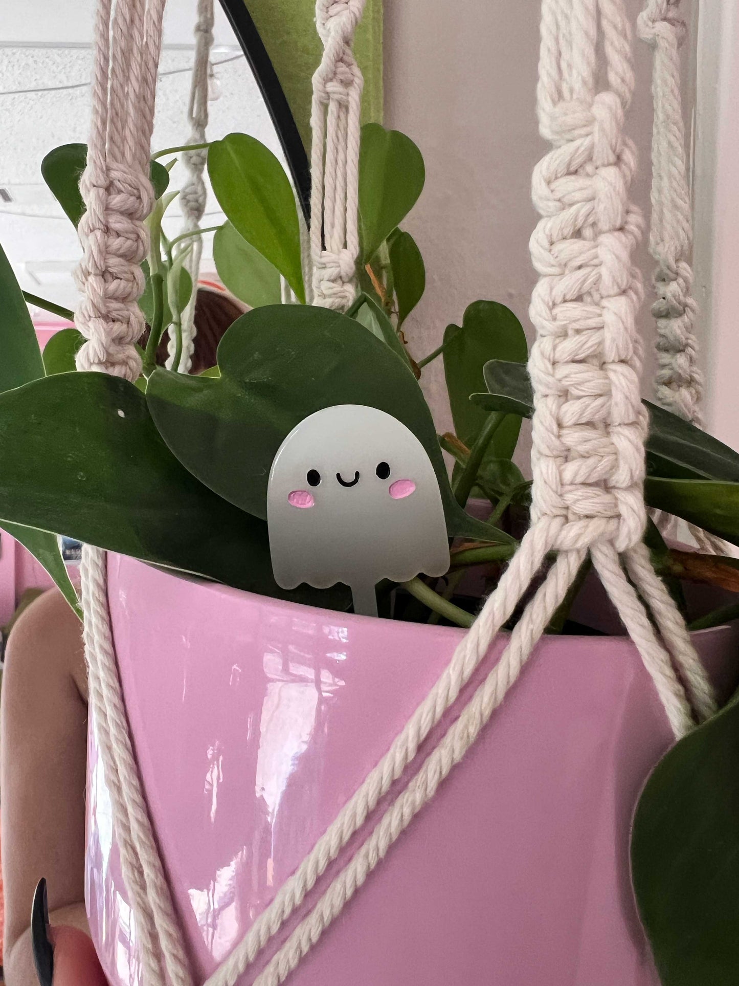 Ghost Plant Pal