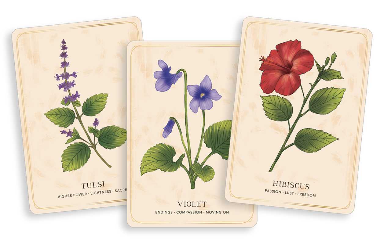 Herbal Tea Magic for the Modern Witch Oracle Deck by Elsie Wild: Flashcards; 192 pages / English