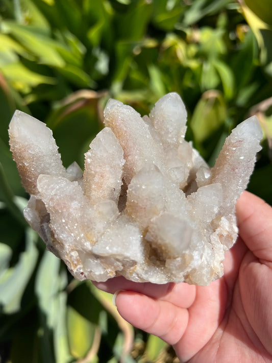 Spirit Quartz Cluster | Cactus Quartz