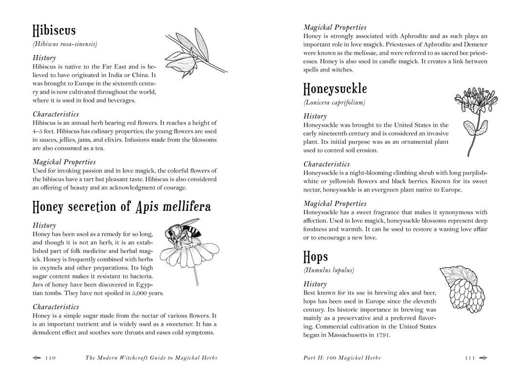 Modern Witchcraft Guide to Magickal Herbs by Judy Ann Nock: Hardcover; 240 pages / English
