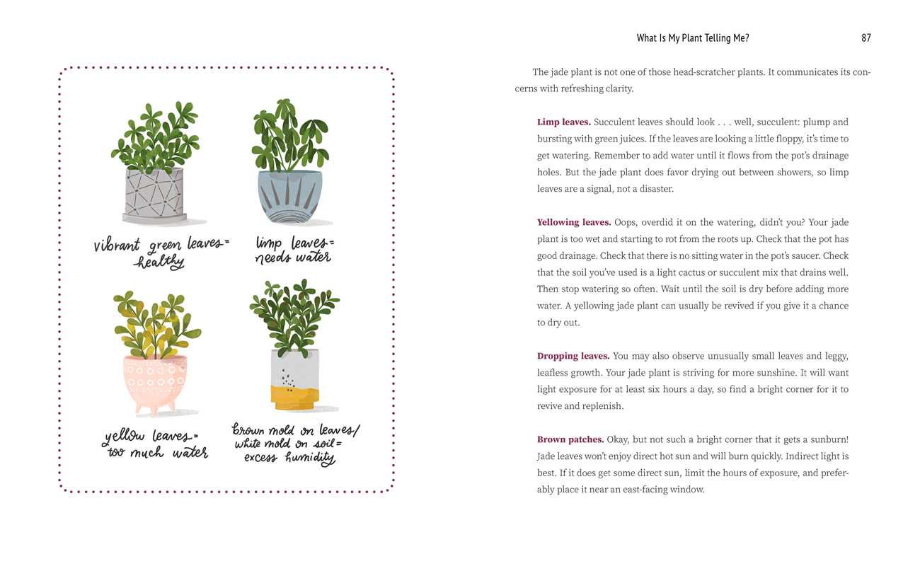 What Is My Plant Telling Me? by Emily L. Hay Hinsdale: Hardcover; 208 pages / English