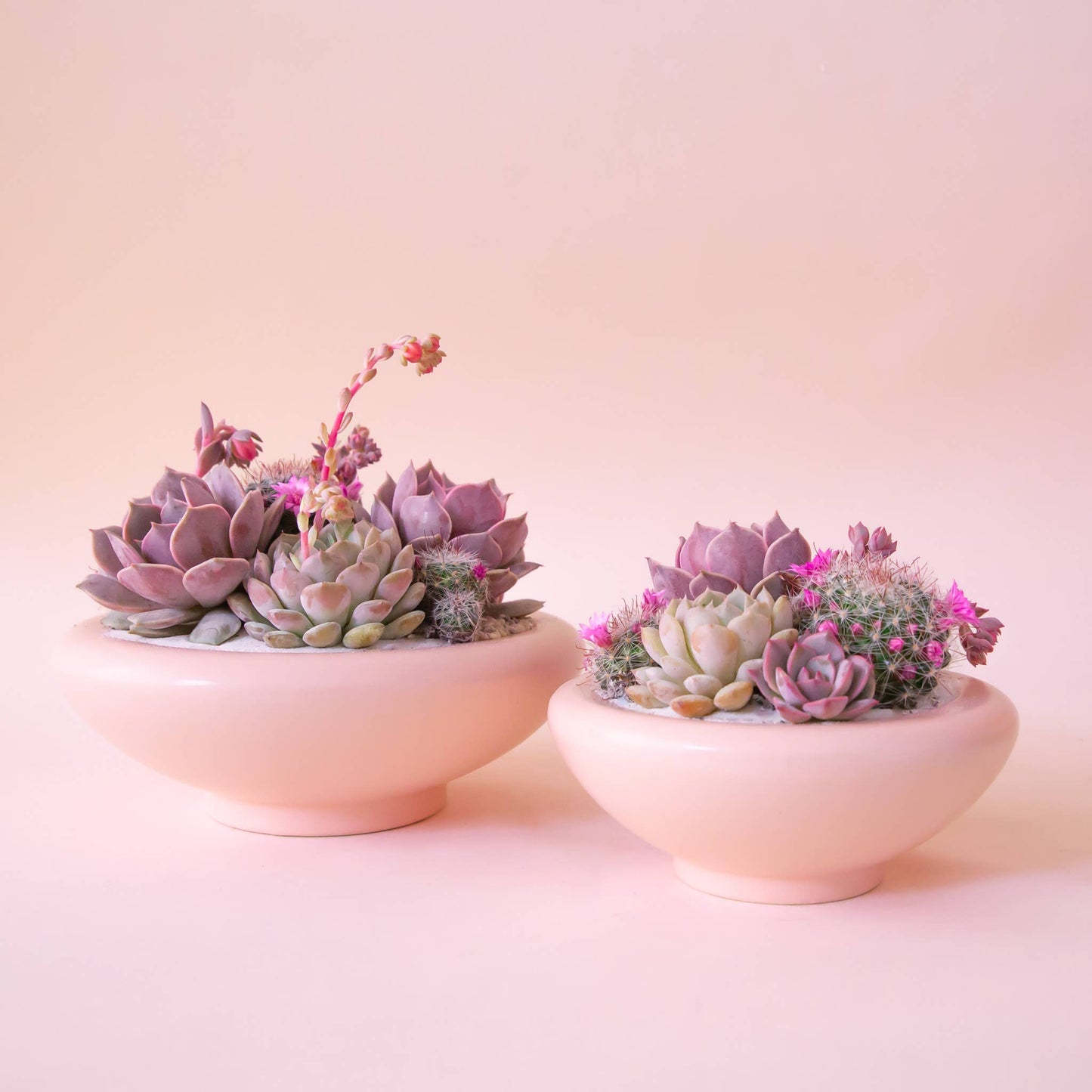 Birdie Bowl | Petal Pink: 6.25 inch