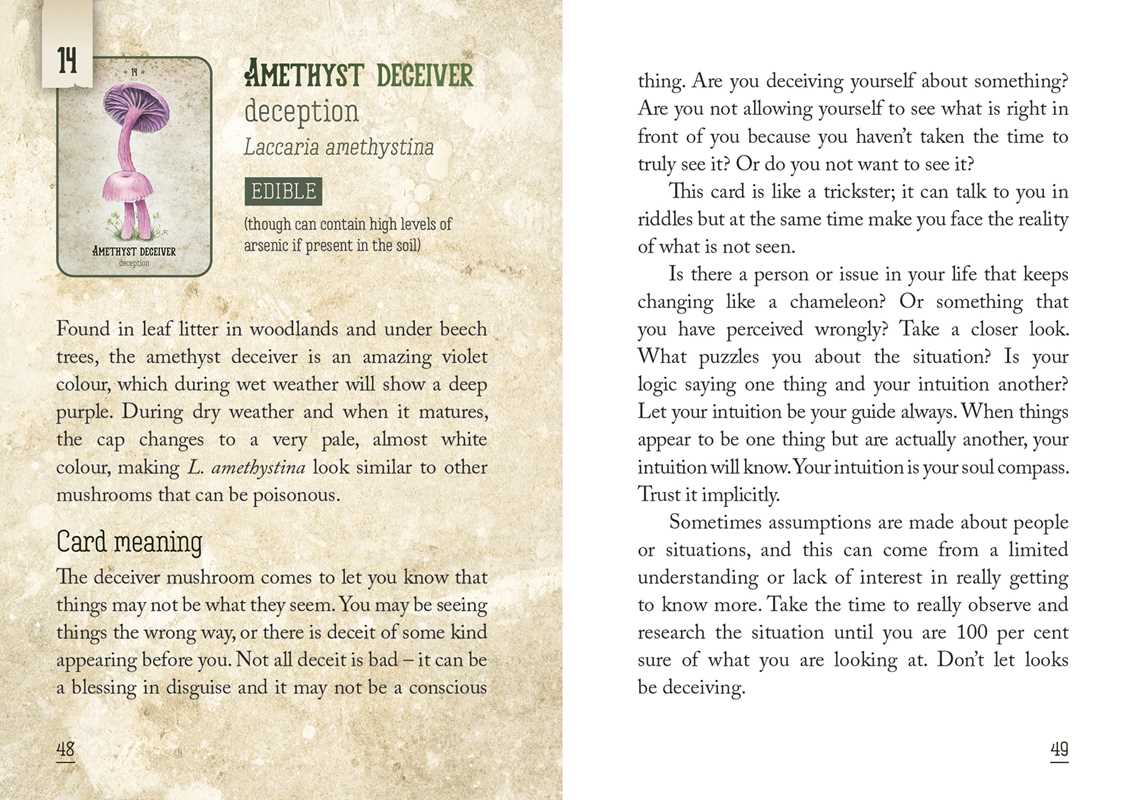 Mushroom Spirit Oracle by Nicola McIntosh: Flashcards; 112 pages / English