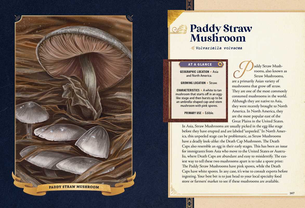 Little Book of Mushrooms by Alex Dorr: Hardcover; 256 pages / English