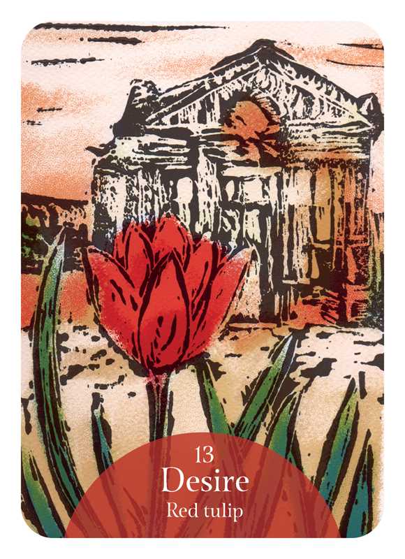 Language of Flowers Oracle by Cheralyn Darcey: Flashcards; 144 pages / English