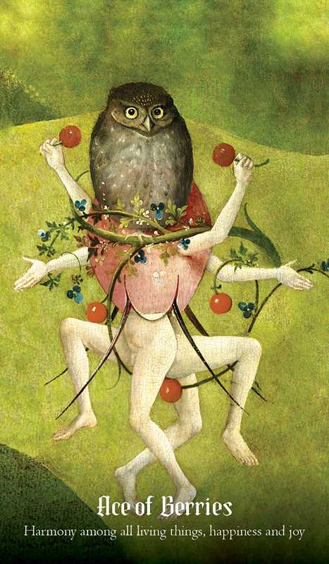 Hieronymus Bosch Tarot by Travis McHenry: Flashcards; 112 pages / English