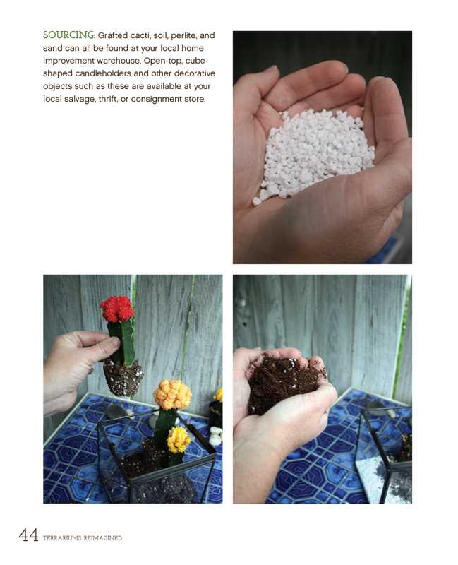 Terrariums Reimagined by Kat Geiger: Paperback; 144 pages / English